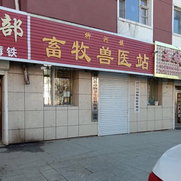 柳河镇畜牧兽医站:通化市柳河县