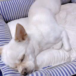 旺星咖啡店:白山市浑江区