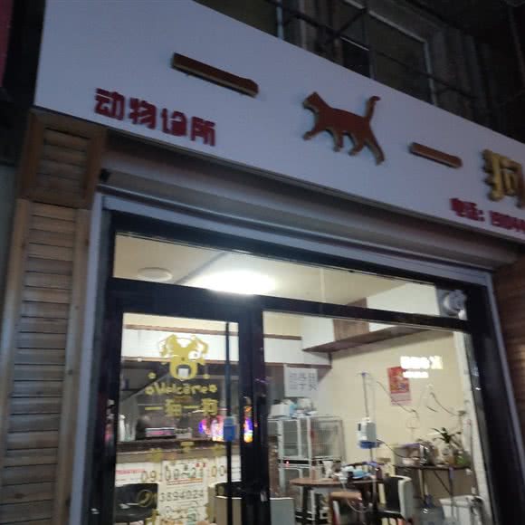 一猫一狗:白山市抚松县