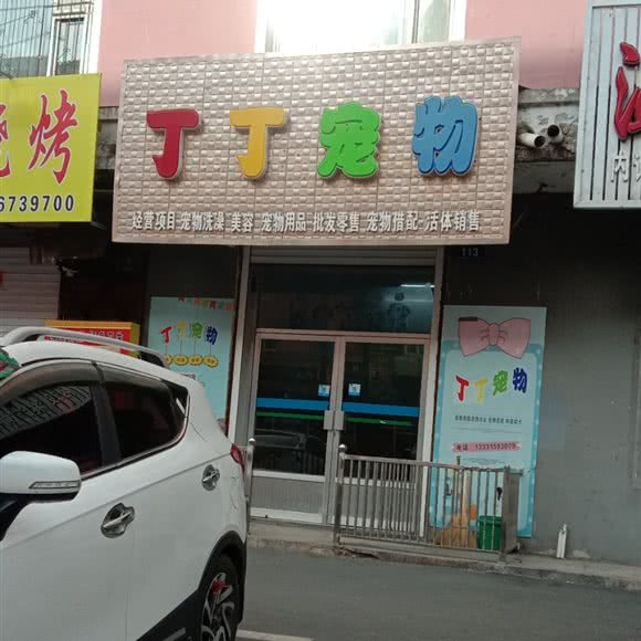 丁丁宠物:白山市临江市