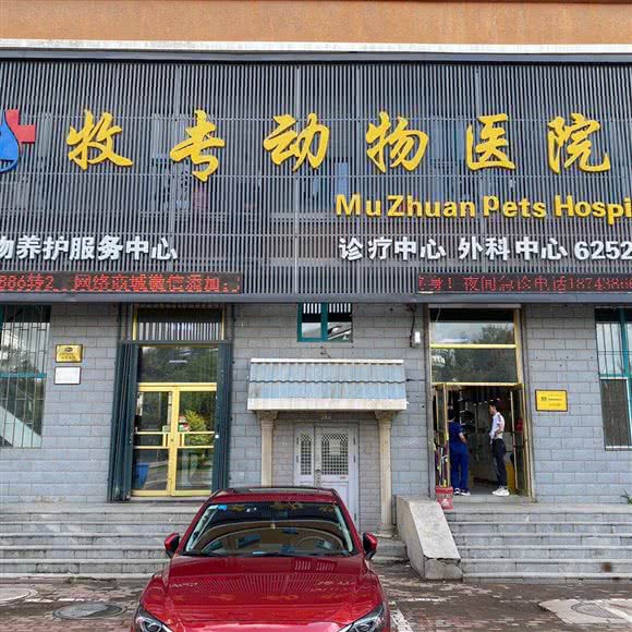 牧专动物医院(江南店):松原市宁江区