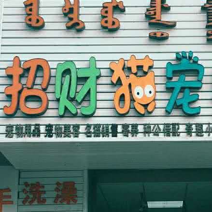招财猫宠物馆:松原市前郭尔罗斯蒙古族自治县