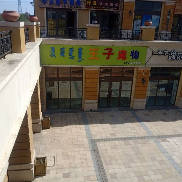 王子宠物:松原市前郭尔罗斯蒙古族自治县