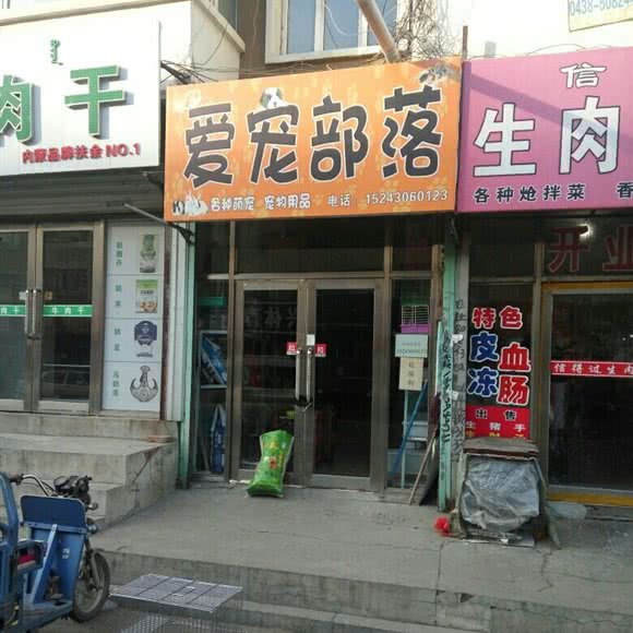 爱宠部落:松原市扶余市