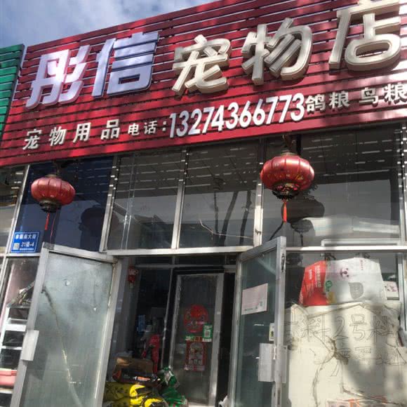 彤信宠物店:白城市洮北区