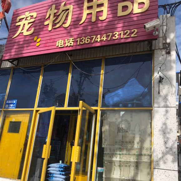 宠物用品:白城市洮北区