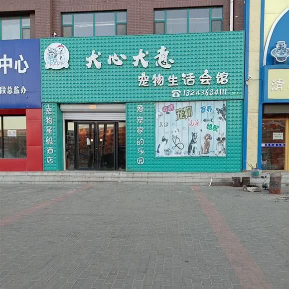 犬心犬意宠物日常生活会馆:白城市通榆县