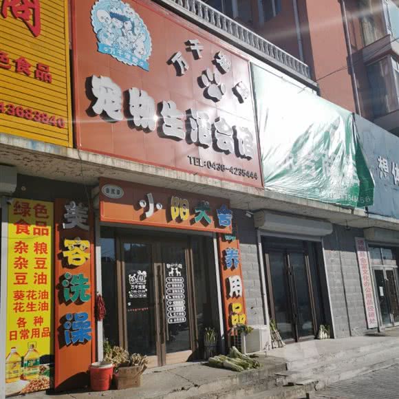 万千宠爱宠物生活会馆:白城市通榆县