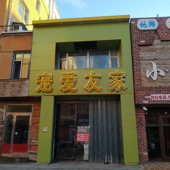 宠爱友家:白城市洮南市