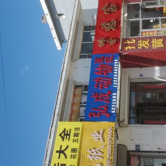 弘成动物医院:白城市洮南市