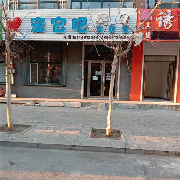 宠它吧宠物馆:白城市大安市