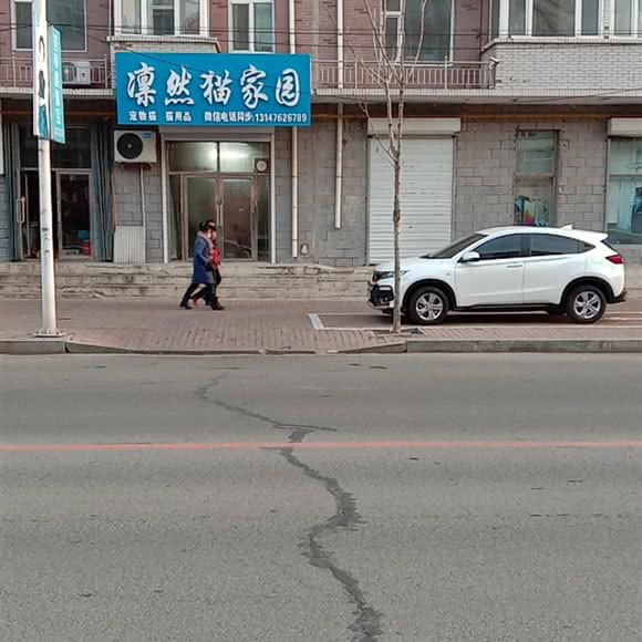 凛然猫家园:白城市大安市