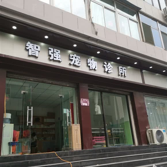 智强宠物诊所:太原市迎泽区开化寺街附近