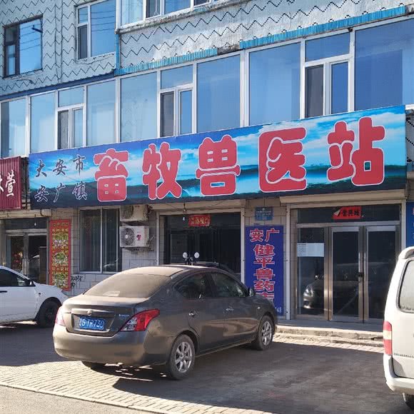 畜牧兽医站:白城市大安市