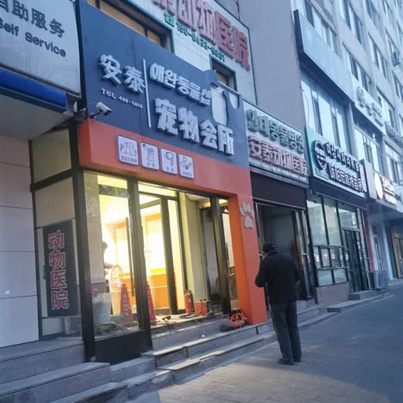 安泰宠物会所:延边朝鲜族自治州延吉市