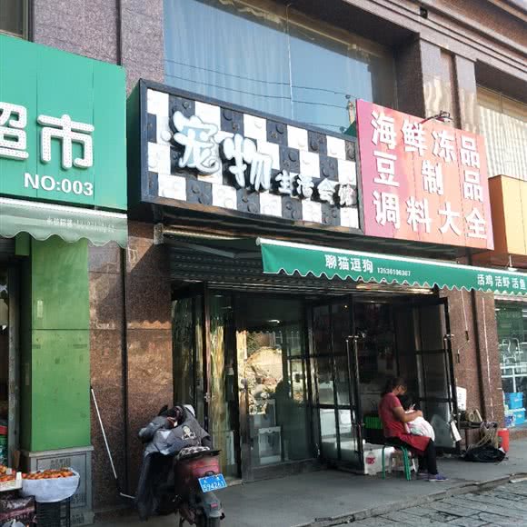 宠物生活会馆:太原市杏花岭区万达/龙潭商业中心附近