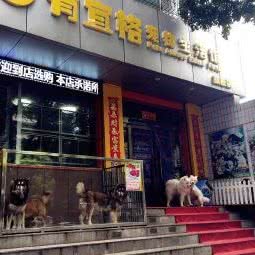 有宜格宠物生活馆:太原市杏花岭区万达/龙潭商业中心附近