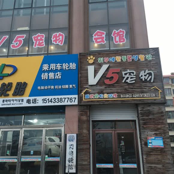 V5宠物:延边朝鲜族自治州珲春市