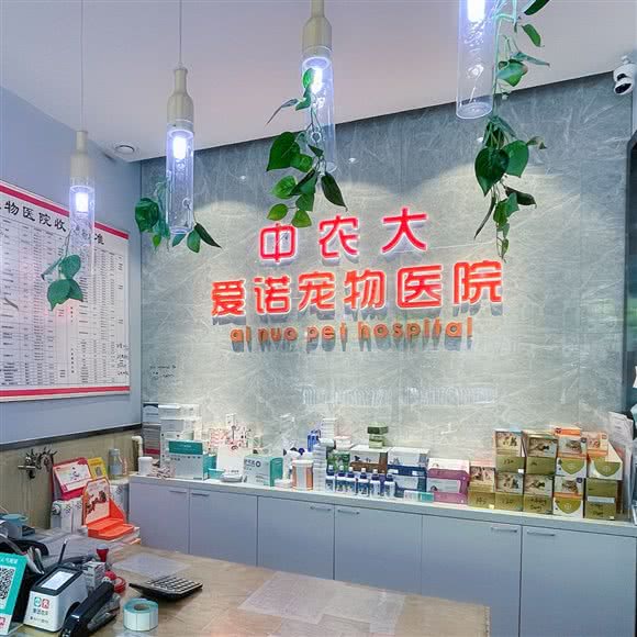 中农大爱诺宠物医院(北大街总院):太原市杏花岭区万达/龙潭商业中心附近