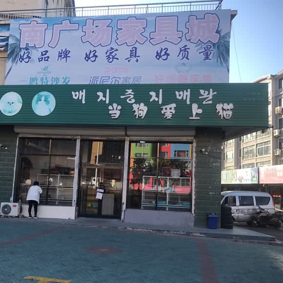 当狗爱上猫:延边朝鲜族自治州和龙市