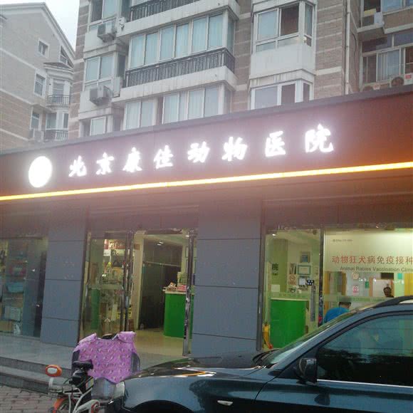 北京康佳动物医院:北京城区朝阳区北苑家园附近