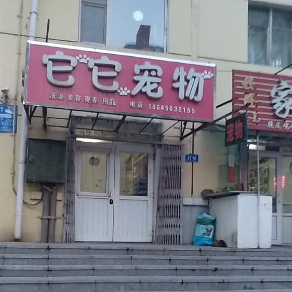 它它宠物:哈尔滨市道里区