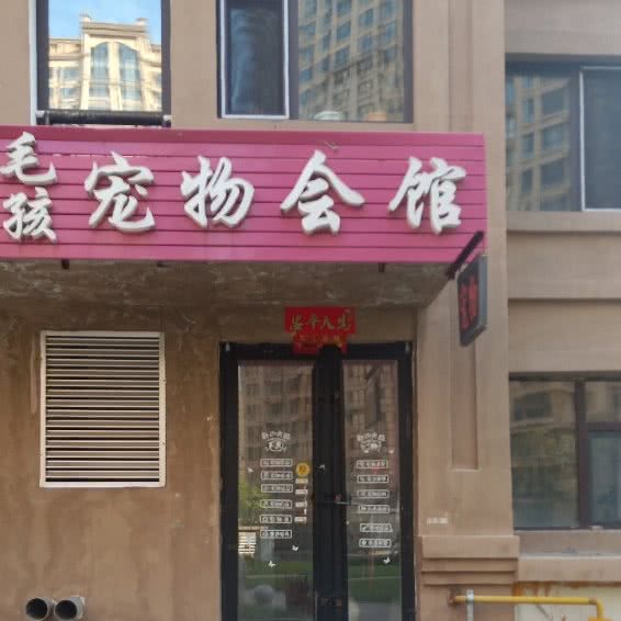 毛孩宠物会馆:哈尔滨市道里区
