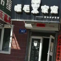 睫毛家宠:哈尔滨市道里区