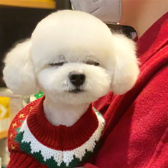 派多格宠物店:太原市杏花岭区胜利街附近