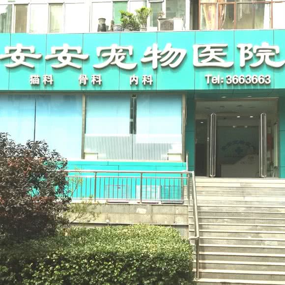 安安宠物医院:太原市杏花岭区胜利街附近