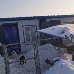 刘丽小动物救助站:哈尔滨市道里区