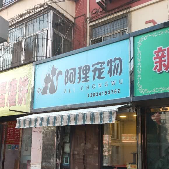 阿狸宠物:太原市杏花岭区北大街附近