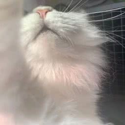 宠爱有家宠物生活馆(学府小酒店):哈尔滨市南岗区