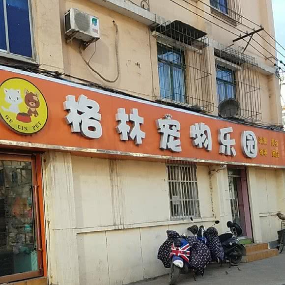 格林宠物乐园:太原市杏花岭区北大街附近