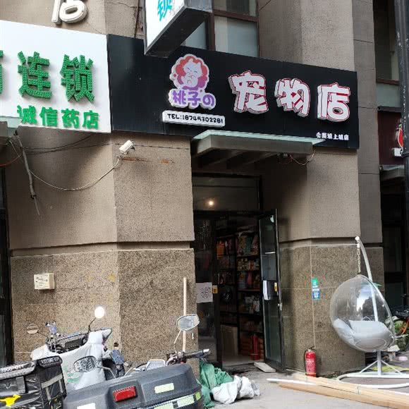 桃子宠物店:哈尔滨市香坊区