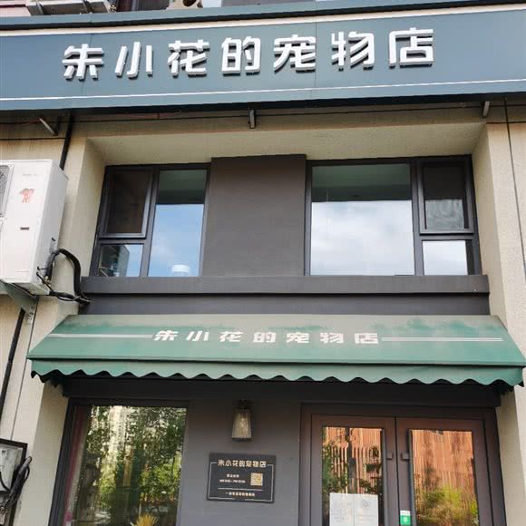朱小花的宠物店:哈尔滨市香坊区