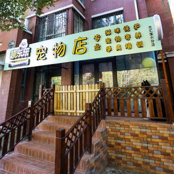晓东东宠物店(立汇美罗湾店):哈尔滨市香坊区