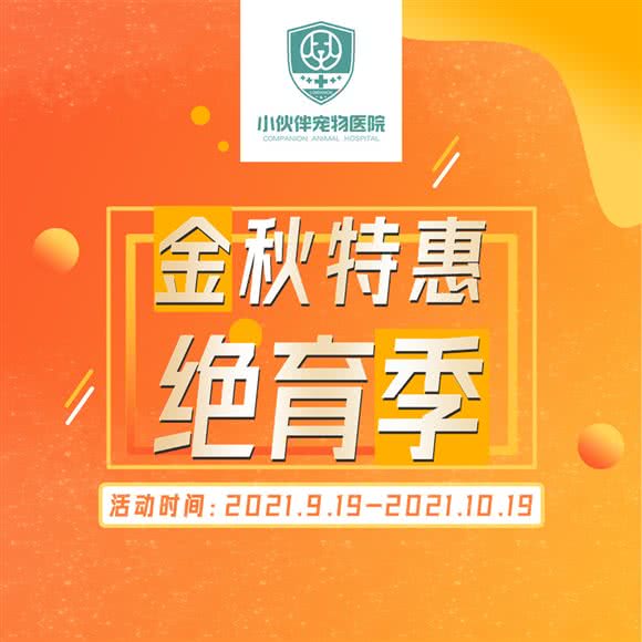 小伙伴宠物医院(北大街总院):太原市杏花岭区北大街附近