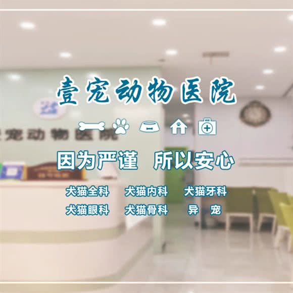 壹宠动物医院:哈尔滨市香坊区