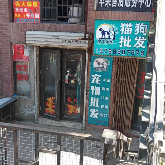 帝王萌宠:哈尔滨市呼兰区