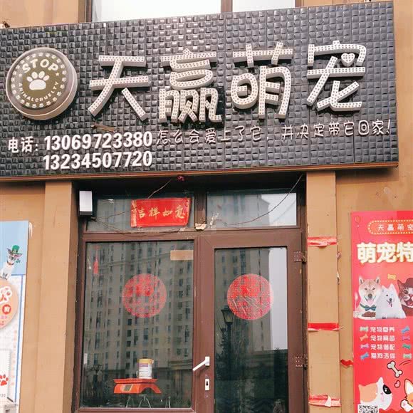 天赢萌宠:哈尔滨市呼兰区