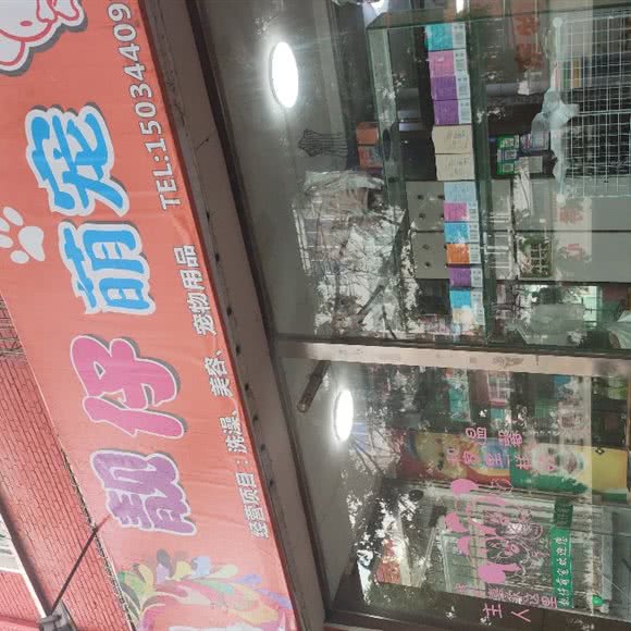 靓仔萌宠:太原市杏花岭区府西街附近