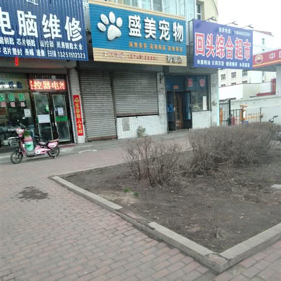 盛美宠物形象店:哈尔滨市双城区