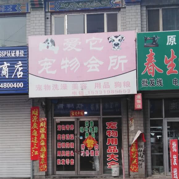 爱它宠物会所:哈尔滨市双城区