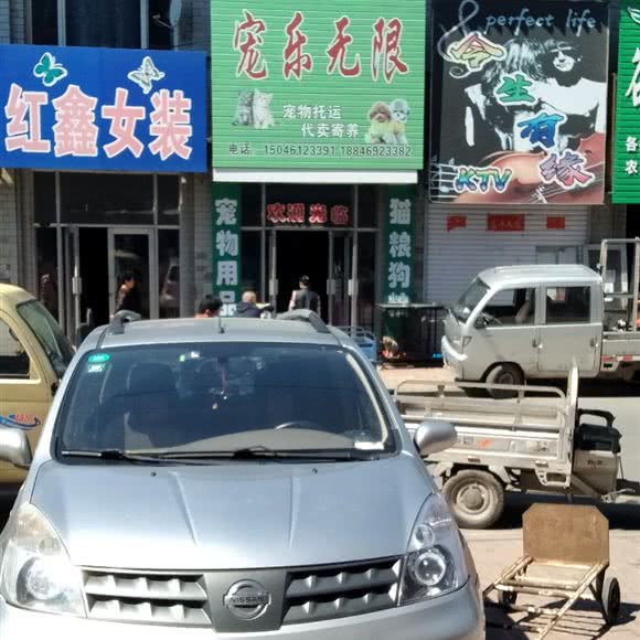 宠乐无限:哈尔滨市双城区