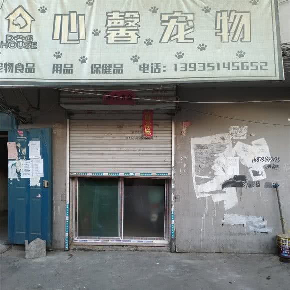 心馨宠物:太原市杏花岭区府东街附近