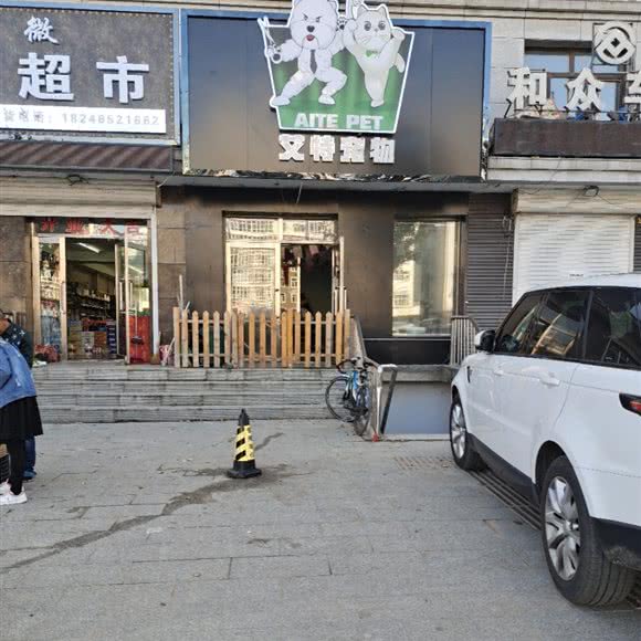 艾特狗狗:哈尔滨市宾县