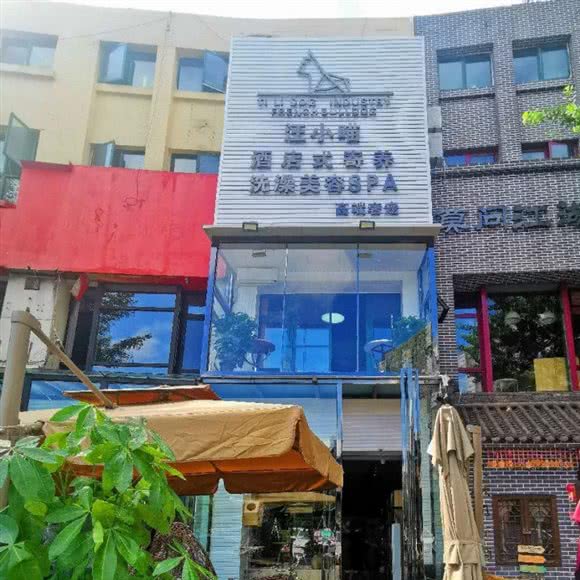 汪小喵宠物酒店:太原市杏花岭区府东街附近
