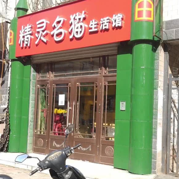 精灵名猫生活馆:哈尔滨市宾县