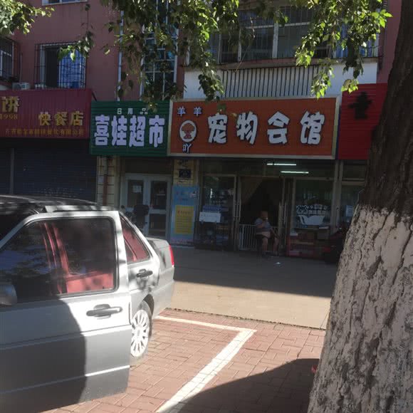 羊羊吖宠物会馆:齐齐哈尔市龙沙区
